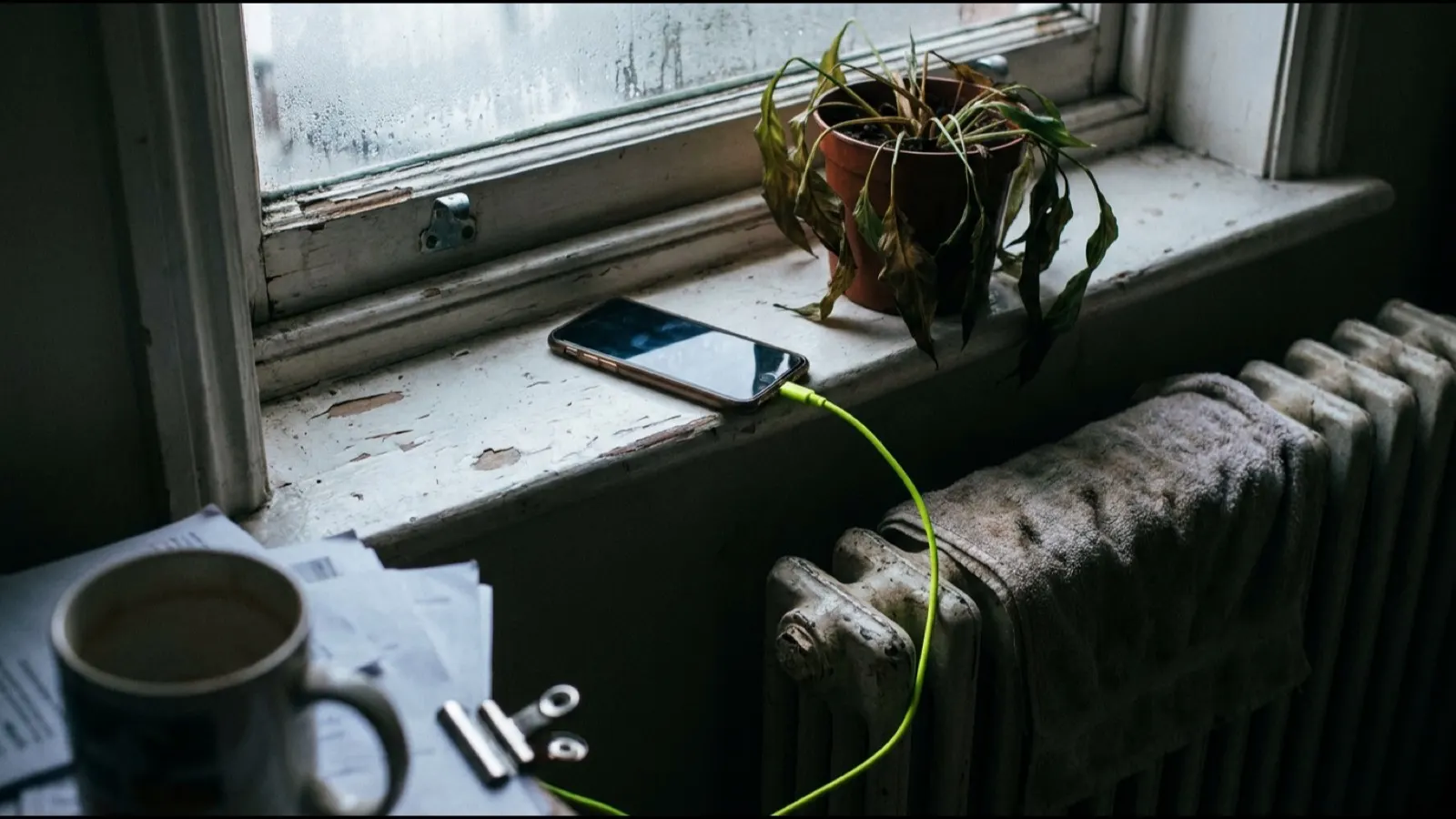 A phone charging on a windowsill next to a plant